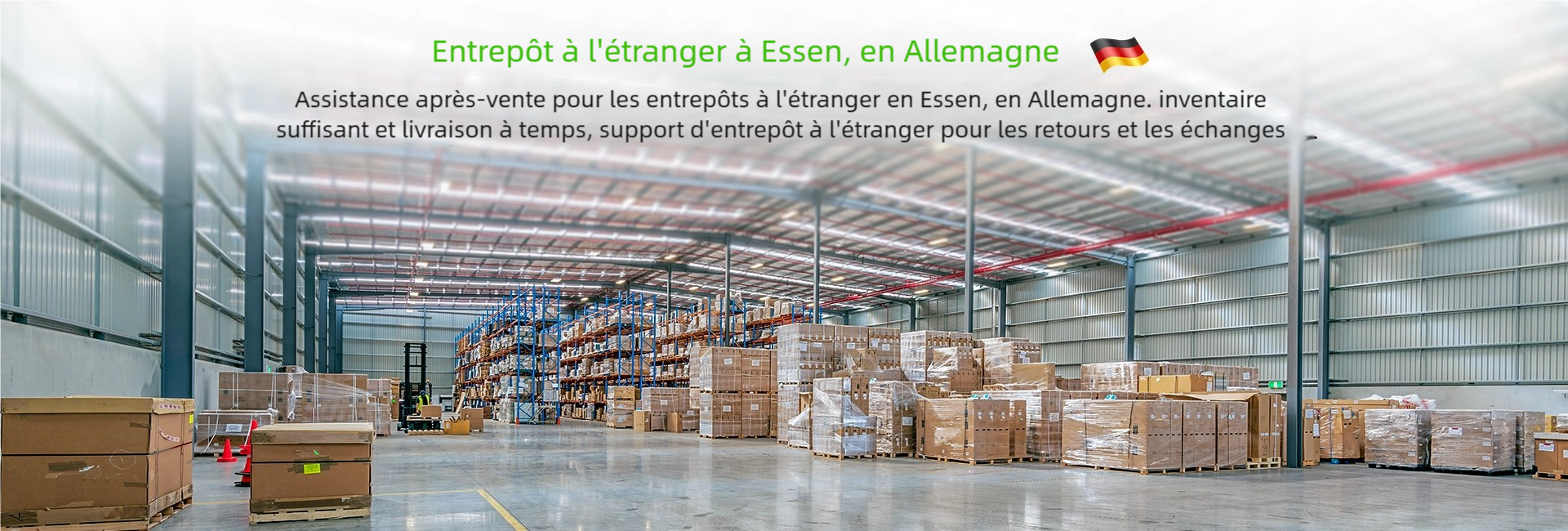 Lionshee Germany Local Warehouse