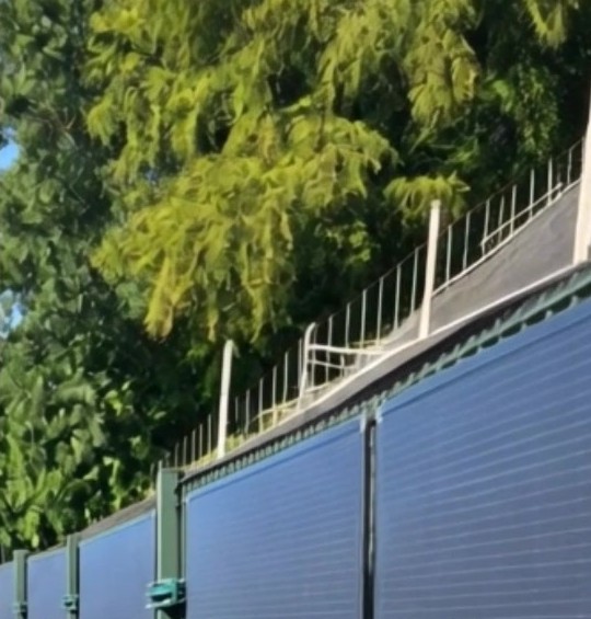 Cl&ocirc;ture de jardin aux Pays-Bas &eacute;quip&eacute;e de modules solaires flexibles LIONSHEE mont&eacute;s &agrave; la verticale, arbres en arri&egrave;re-plan
