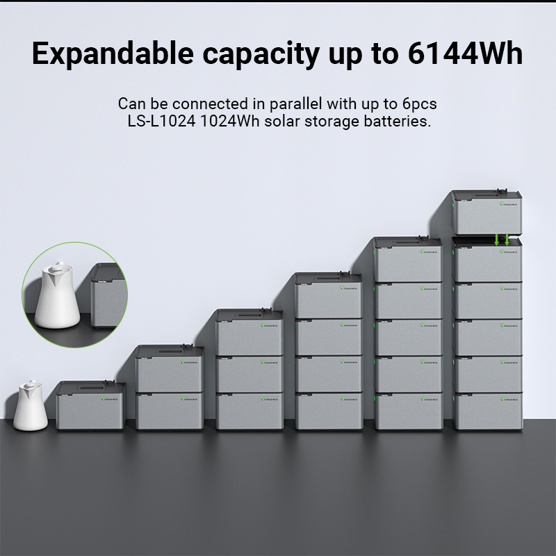LIONSHEE LS-L1024 Batterie LiFePO4 51,2 V 1024 Wh, IP65, 6000 Cycles, Chauffage Basse Température Et Extinction Incendie En Option